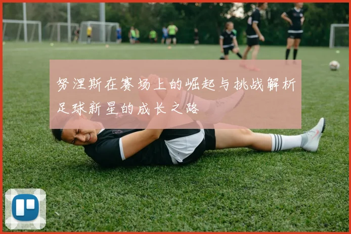 努涅斯在赛场上的崛起与挑战解析足球新星的成长之路