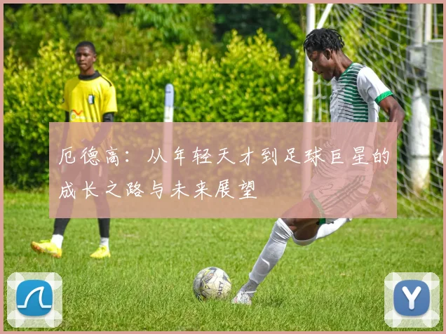 厄德高：从年轻天才到足球巨星的成长之路与未来展望