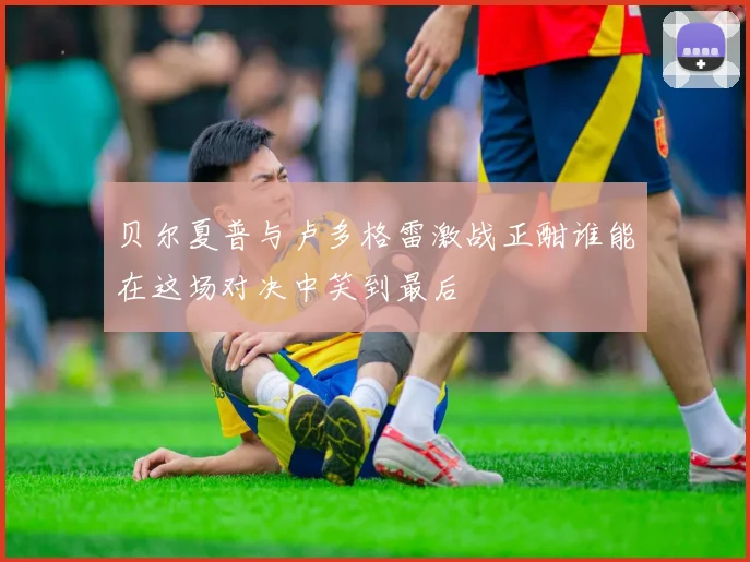 贝尔夏普与卢多格雷激战正酣谁能在这场对决中笑到最后