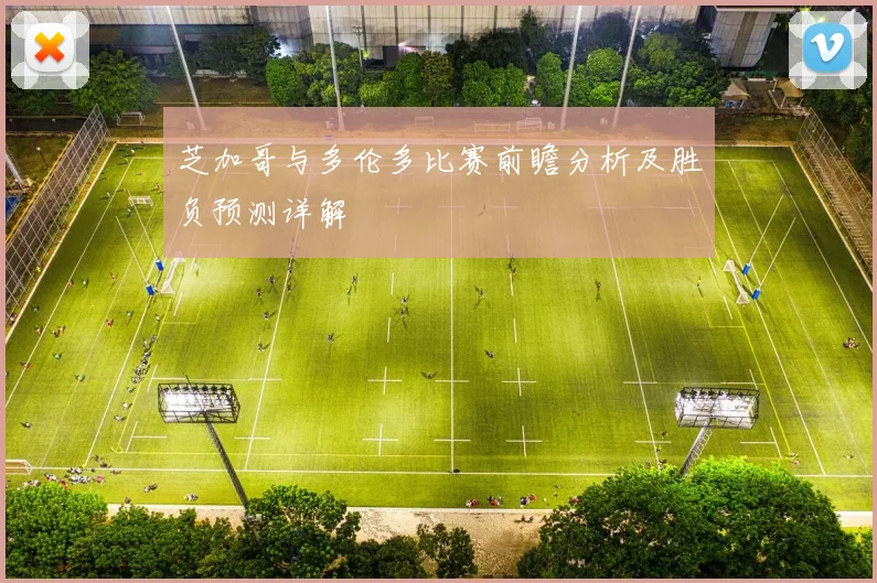芝加哥与多伦多比赛前瞻分析及胜负预测详解