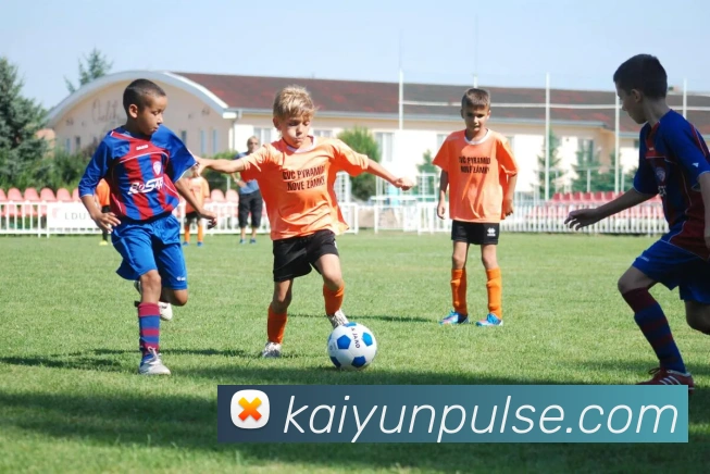 开云体育APP 高清赛事图